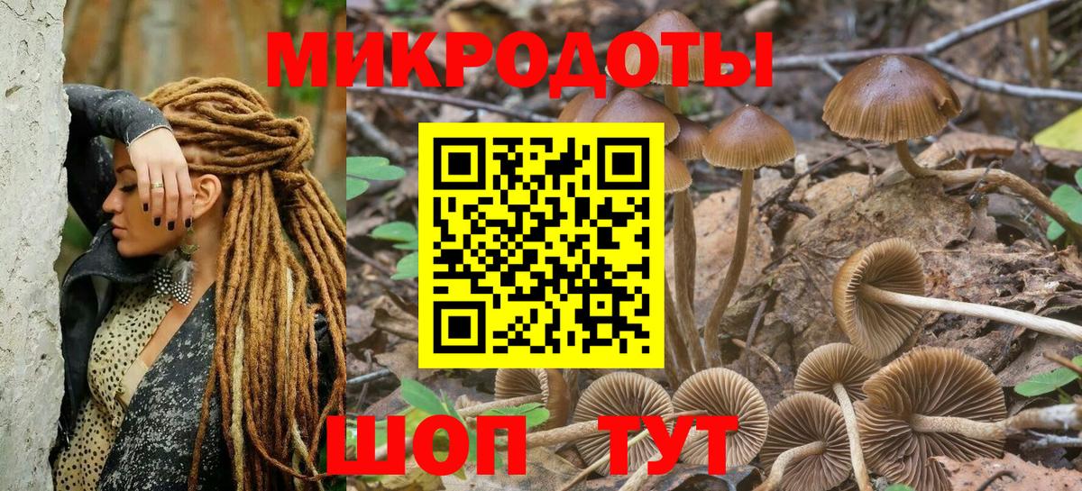 Канск  Псилоцибиновые грибы Magic Shrooms  Галлюциногенные грибы GOLDEN TEACHER  Вход с VPN 